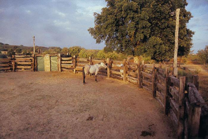 Casa Rural Finca Valvellidos Jaraiz de la Vera Esterno foto